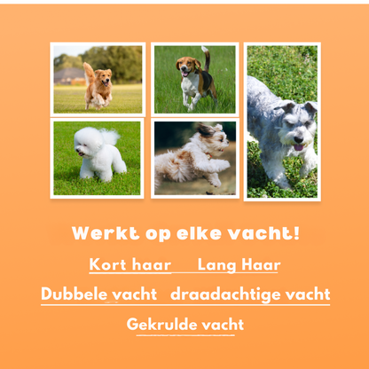 Nieuw Groomify©