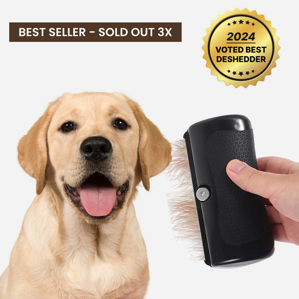 Best pet deshedder best sale